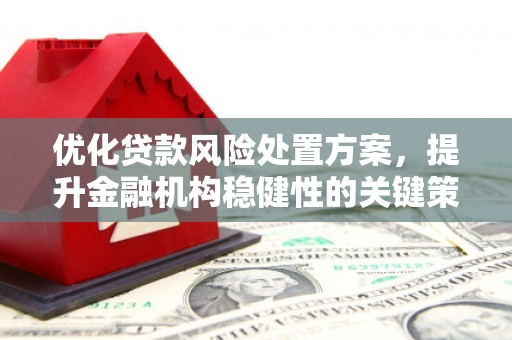 阜沙优化贷款风险处置方案，提升金融机构稳健性的关键策略
