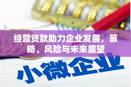 阜沙经营贷款助力企业发展，策略、风险与未来展望