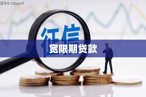 阜沙宽限期贷款