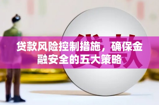 阜沙贷款风险控制措施，确保金融安全的五大策略