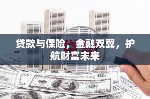 阜沙贷款与保险，金融双翼，护航财富未来