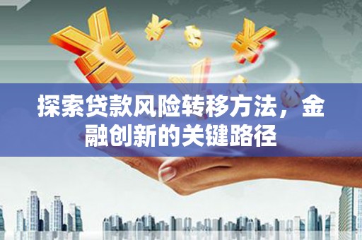 阜沙探索贷款风险转移方法，金融创新的关键路径