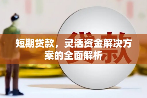 阜沙短期贷款，灵活资金解决方案的全面解析