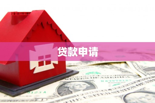 阜沙贷款申请