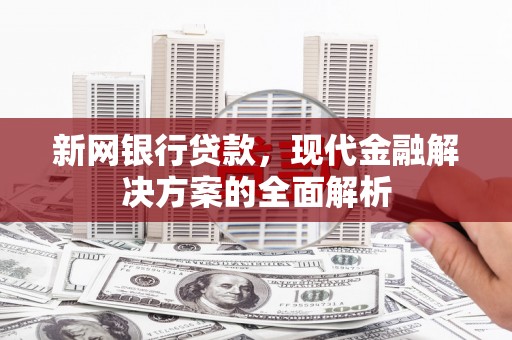 阜沙新网银行贷款，现代金融解决方案的全面解析
