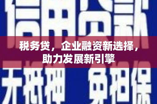 阜沙税务贷，企业融资新选择，助力发展新引擎
