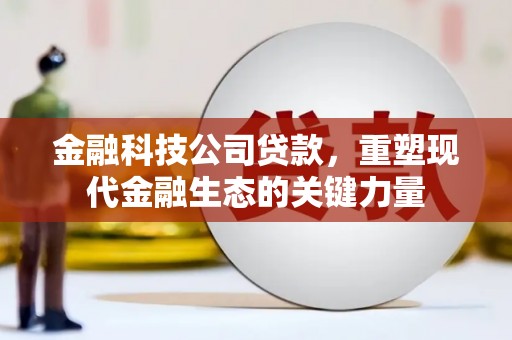 阜沙金融科技公司贷款，重塑现代金融生态的关键力量
