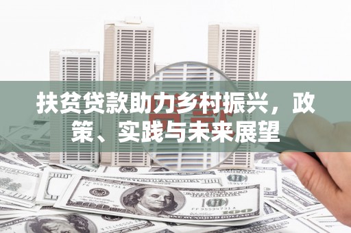 阜沙扶贫贷款助力乡村振兴，政策、实践与未来展望