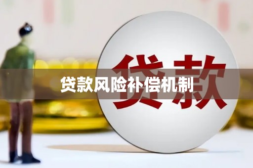 阜沙贷款风险补偿机制
