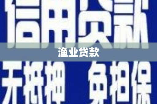 阜沙渔业贷款