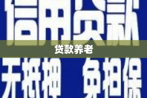 阜沙贷款养老