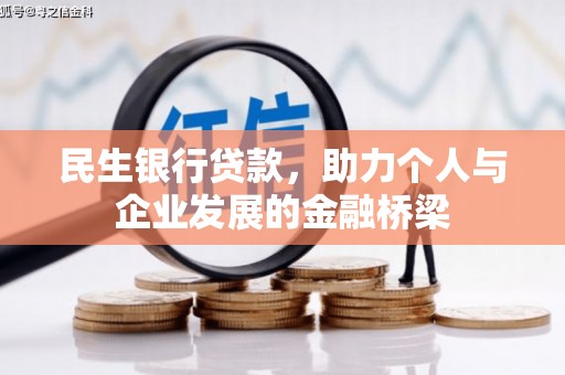 阜沙民生银行贷款，助力个人与企业发展的金融桥梁