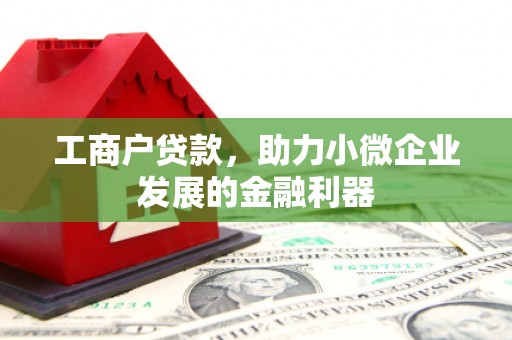 阜沙工商户贷款，助力小微企业发展的金融利器
