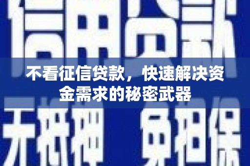 阜沙不看征信贷款，快速解决资金需求的秘密武器
