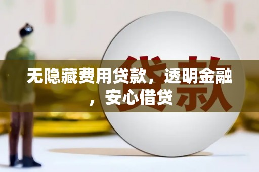 阜沙无隐藏费用贷款，透明金融，安心借贷
