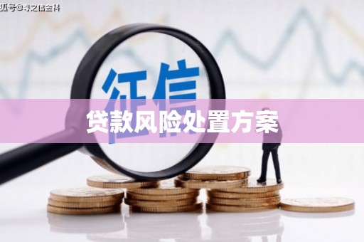 阜沙贷款风险处置方案