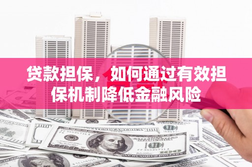 阜沙贷款担保，如何通过有效担保机制降低金融风险