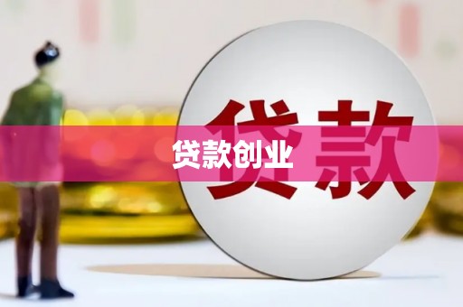 阜沙贷款创业