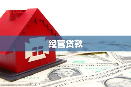 阜沙经营贷款