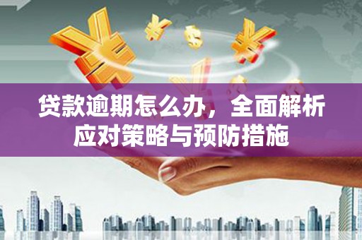 阜沙贷款逾期怎么办，全面解析应对策略与预防措施