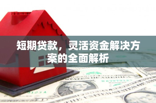 阜沙短期贷款，灵活资金解决方案的全面解析