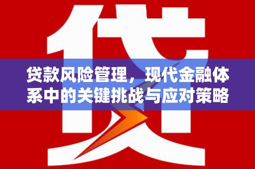 阜沙贷款风险管理，现代金融体系中的关键挑战与应对策略
