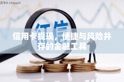 阜沙信用卡提现，便捷与风险并存的金融工具