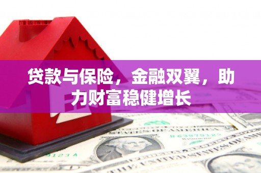 阜沙贷款与保险，金融双翼，助力财富稳健增长