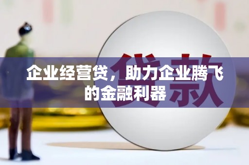 阜沙企业经营贷，助力企业腾飞的金融利器
