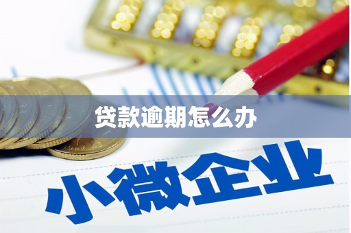 阜沙贷款逾期怎么办