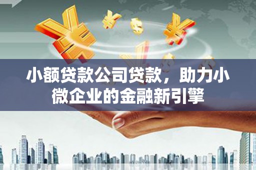 阜沙小额贷款公司贷款，助力小微企业的金融新引擎