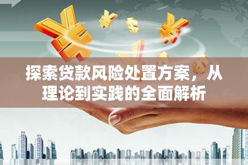 阜沙探索贷款风险处置方案，从理论到实践的全面解析
