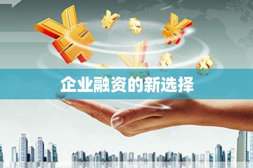 阜沙企业融资的新选择