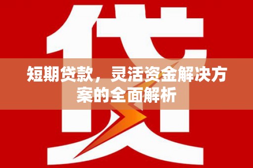 阜沙短期贷款，灵活资金解决方案的全面解析