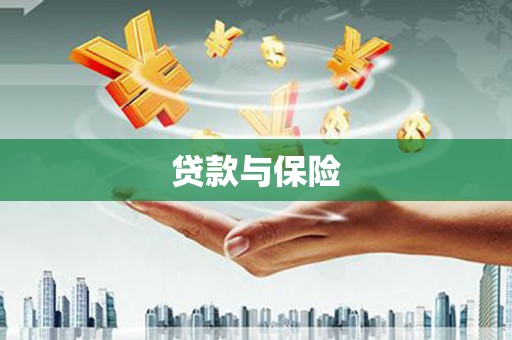 阜沙贷款与保险