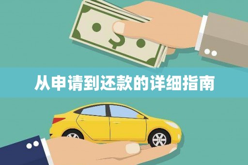 阜沙从申请到还款的详细指南