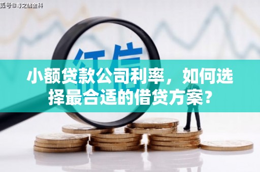 阜沙小额贷款公司利率，如何选择最合适的借贷方案？