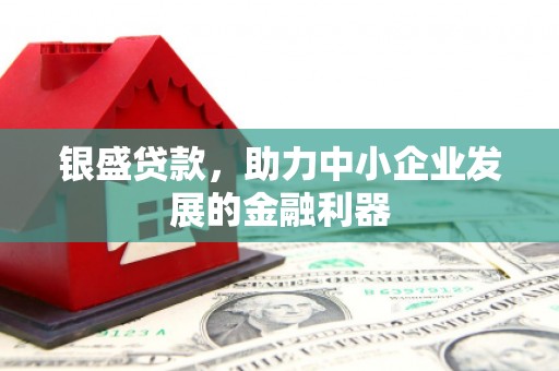 阜沙银盛贷款，助力中小企业发展的金融利器