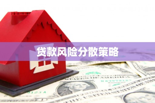 阜沙贷款风险分散策略
