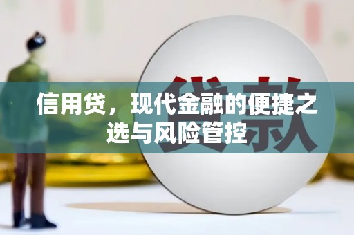 阜沙信用贷，现代金融的便捷之选与风险管控