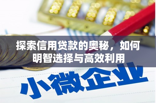 阜沙探索信用贷款的奥秘，如何明智选择与高效利用