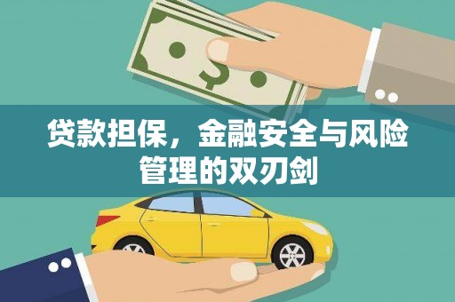 阜沙贷款担保，金融安全与风险管理的双刃剑