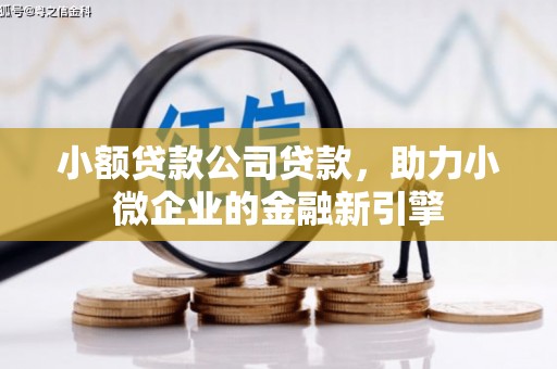 阜沙小额贷款公司贷款，助力小微企业的金融新引擎