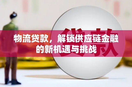 阜沙物流贷款，解锁供应链金融的新机遇与挑战
