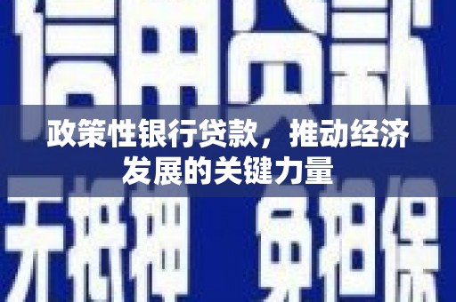 阜沙政策性银行贷款，推动经济发展的关键力量
