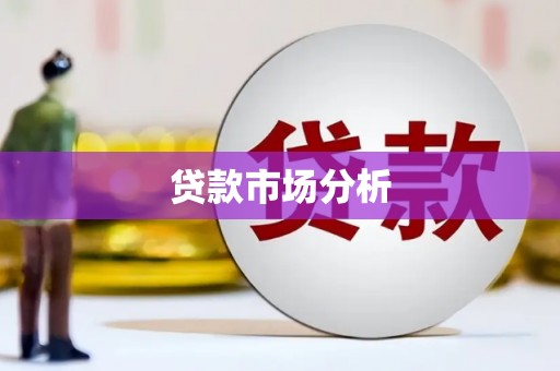 阜沙贷款市场分析