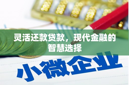 阜沙灵活还款贷款，现代金融的智慧选择