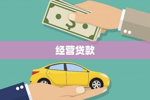 阜沙经营贷款