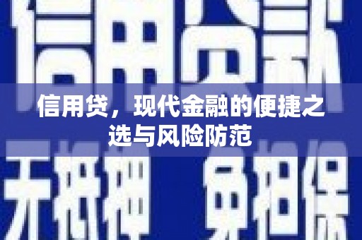 阜沙信用贷，现代金融的便捷之选与风险防范