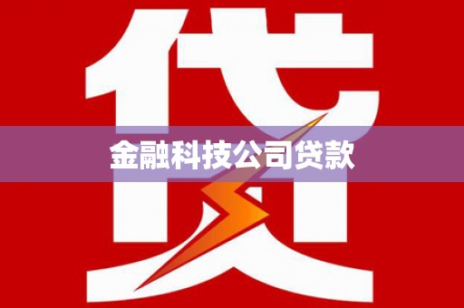 阜沙金融科技公司贷款